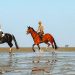 Reiten im Cuxland